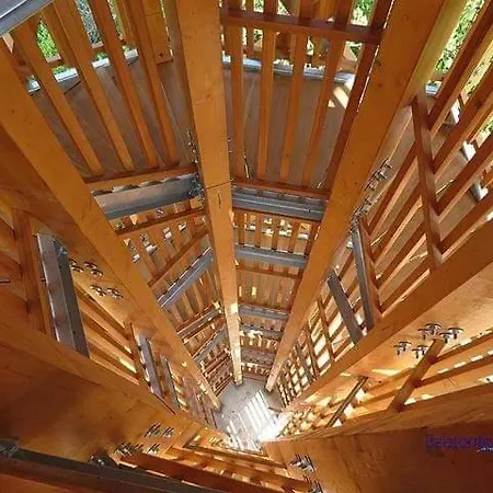 Dom wakacyjny Fig Tree House