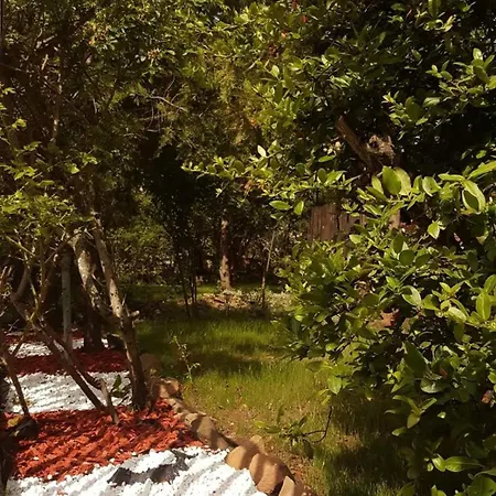 Fig Tree House Lovas