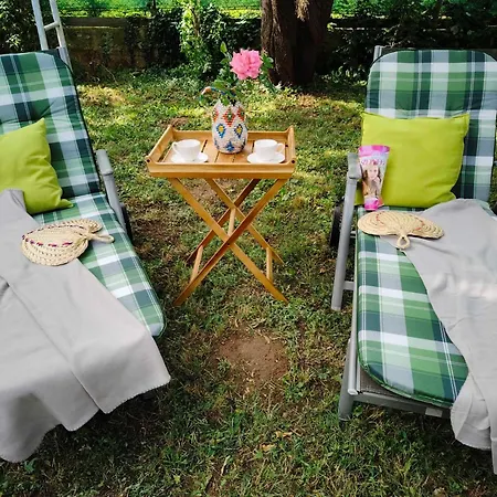 Dom wakacyjny Fig Tree House