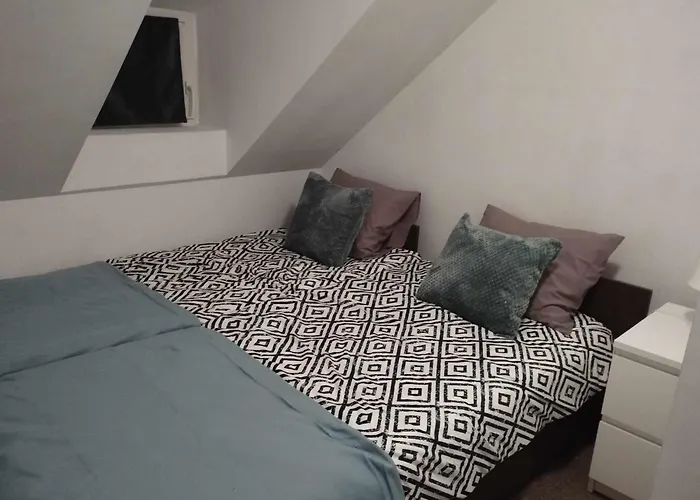 Fig Tree House 別荘 *