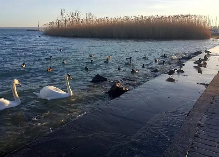 Fig Tree House Lovas